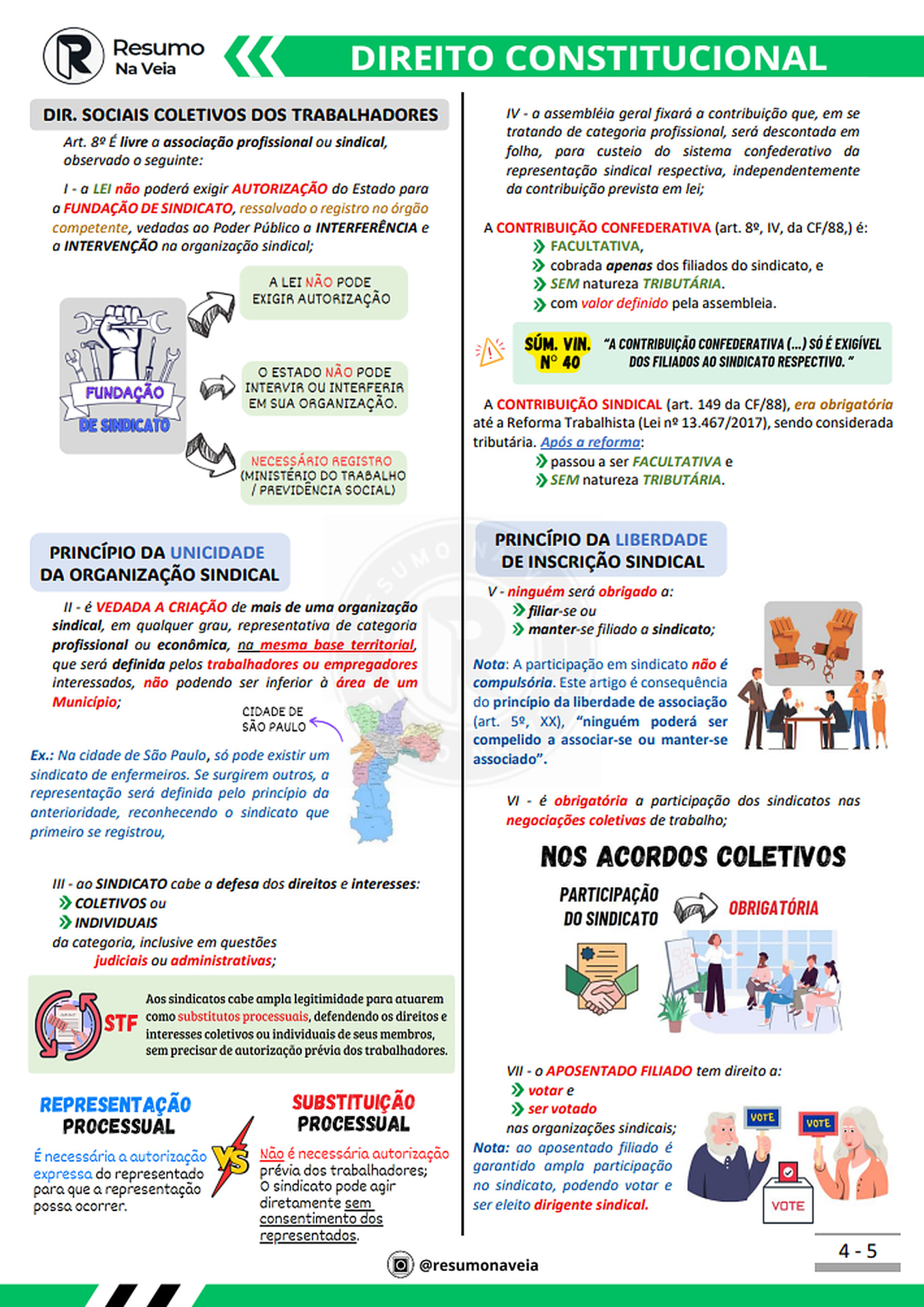 Página real do resumo de Direito Constitucional